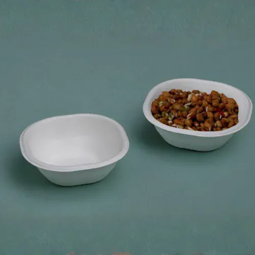 Sugarcane Plates N Bowls