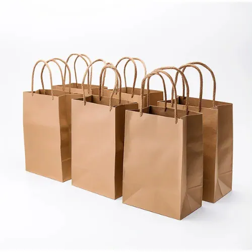 Paper Handle Bags 90-100Gsm