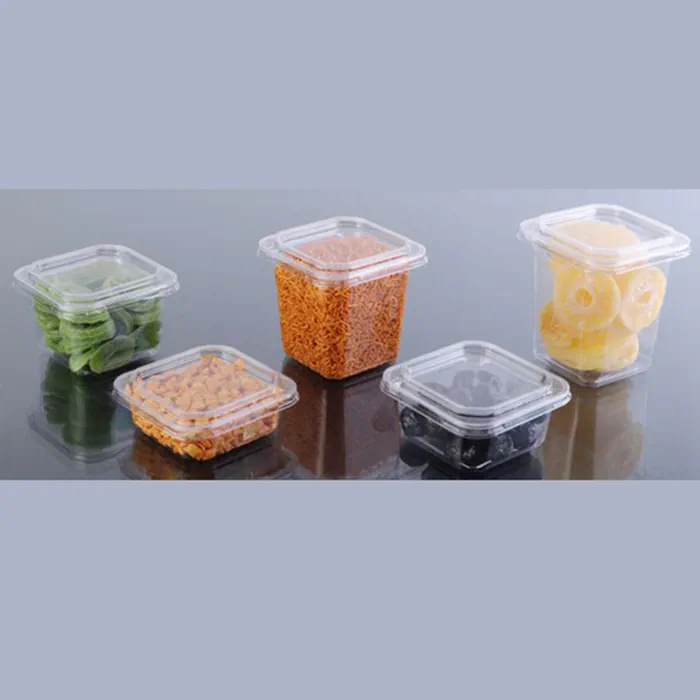 Pet Square Container